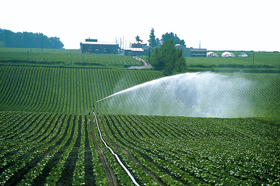 ▷ ¿Cuáles son los tipos de aspersores de riego agrícola?